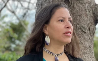 Elizabeth James-Perry: Weaving Art, Science, and Cultural Heritage