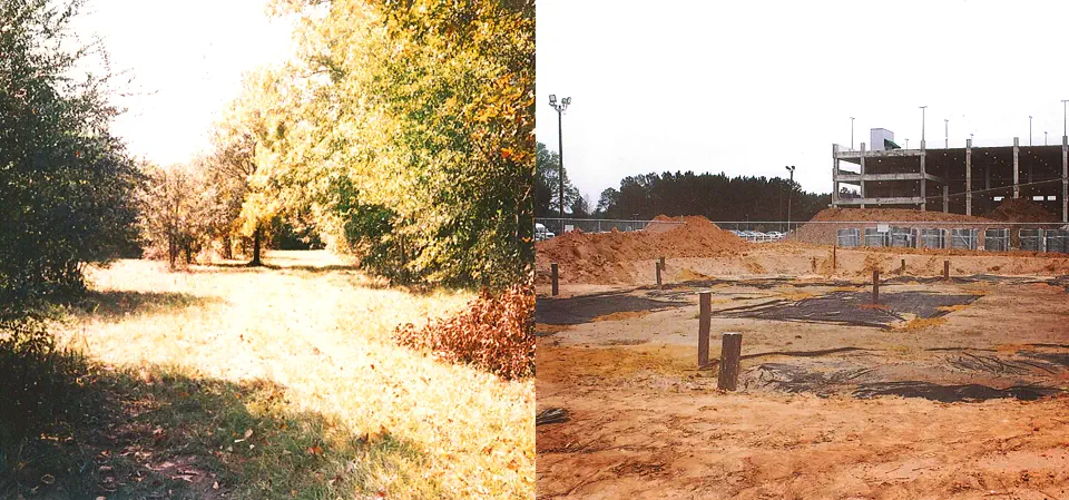 devastated hickory ground
